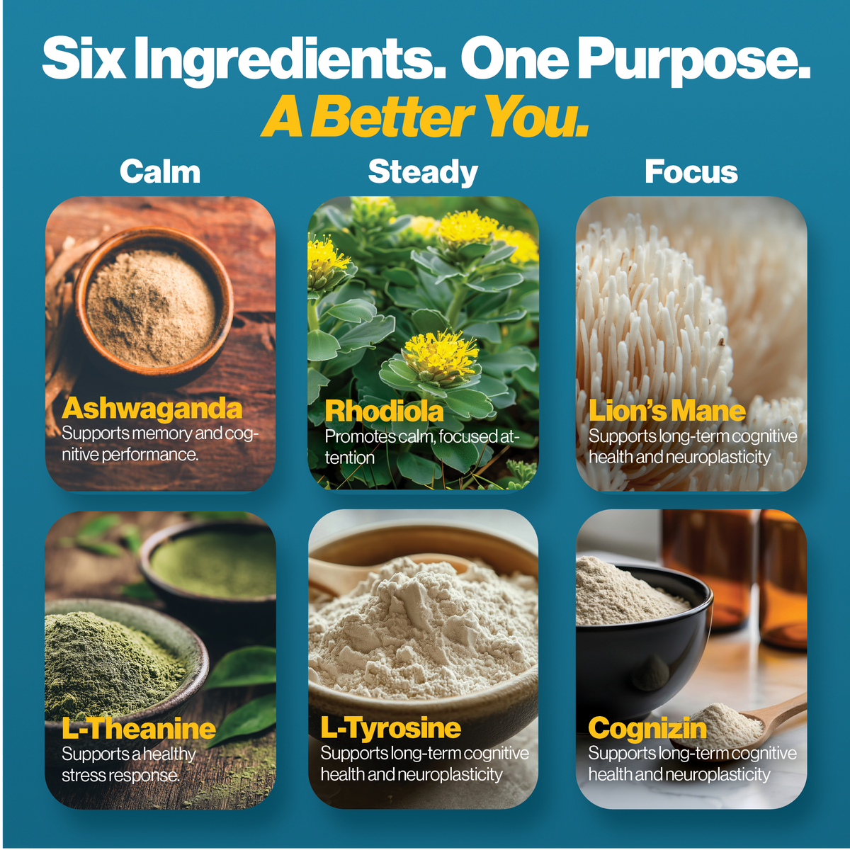 Clario Brain Health Supplement